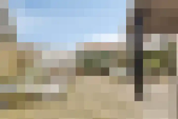 Zwijning 20 Ochten thumbnail 33