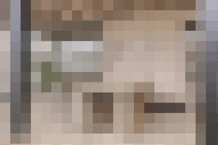 Zwijning 20 Ochten thumbnail 34