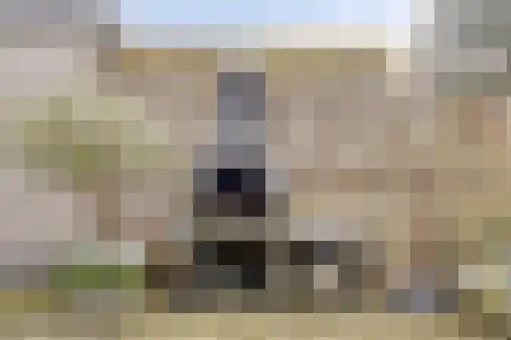 Zwijning 20 Ochten thumbnail 35