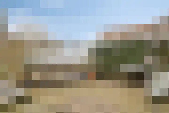 Zwijning 20 Ochten thumbnail 36