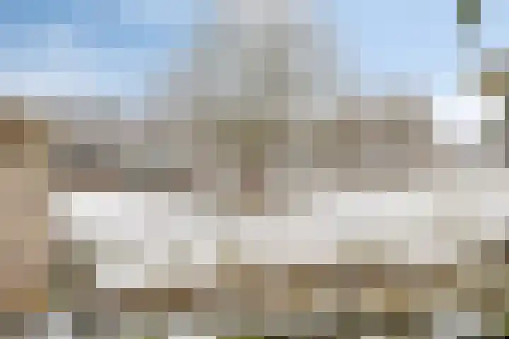 Zwijning 20 Ochten thumbnail 37