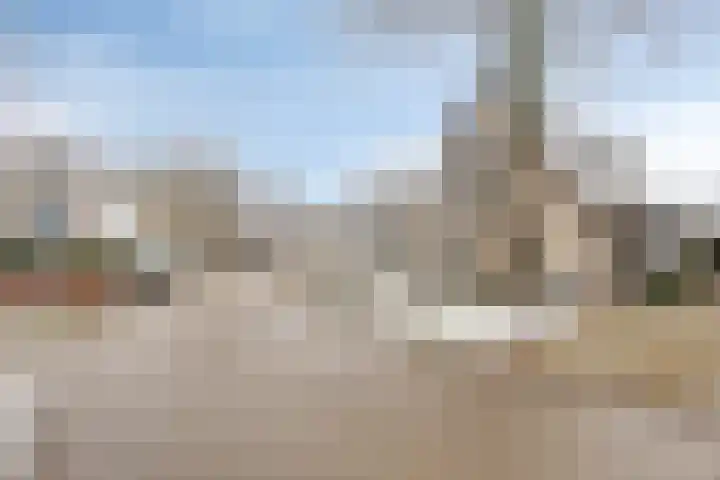 Zwijning 20 Ochten thumbnail 39