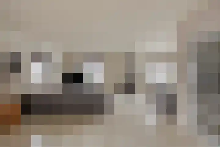 Zwijning 20 Ochten thumbnail 4
