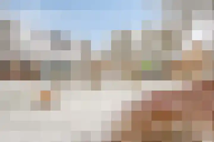Zwijning 20 Ochten thumbnail 42