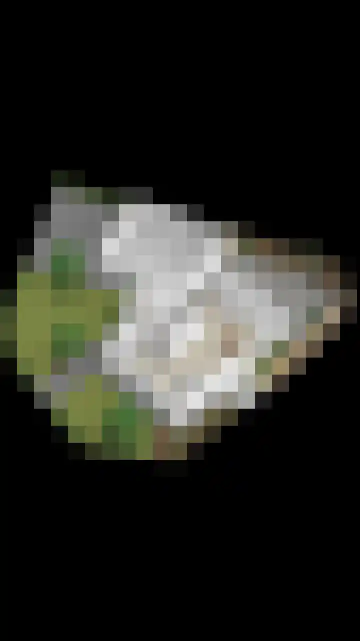 Zwijning 20 Ochten thumbnail 43