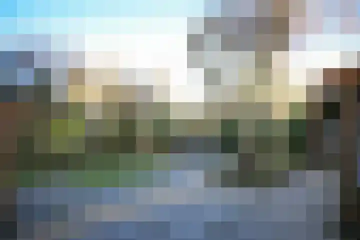 Zwijning 9 Ochten thumbnail 31