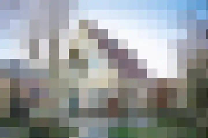 Zwijning 9 Ochten thumbnail 32