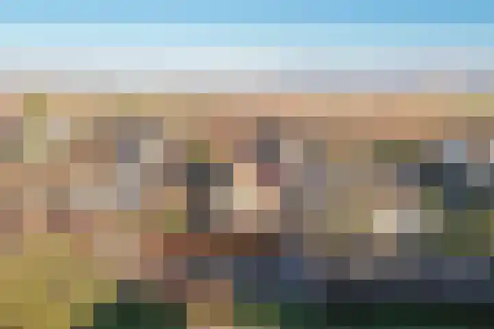 Zwijning 9 Ochten thumbnail 44