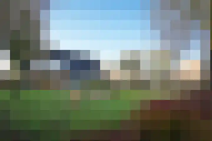 Zwijning 9 Ochten thumbnail 46