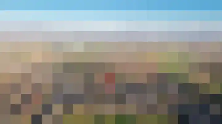 Zwijning 9 Ochten thumbnail 48