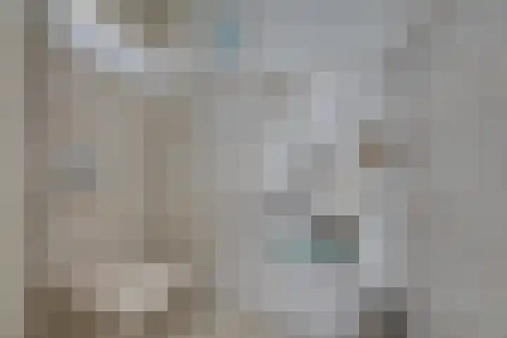 Zwijnsbergen 1 Udenhout thumbnail 11