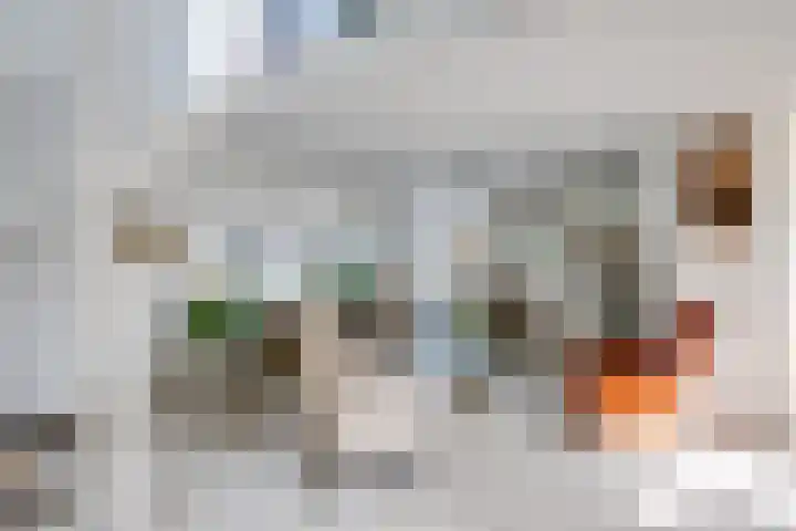 Zwijnsbergen 1 Udenhout thumbnail 12
