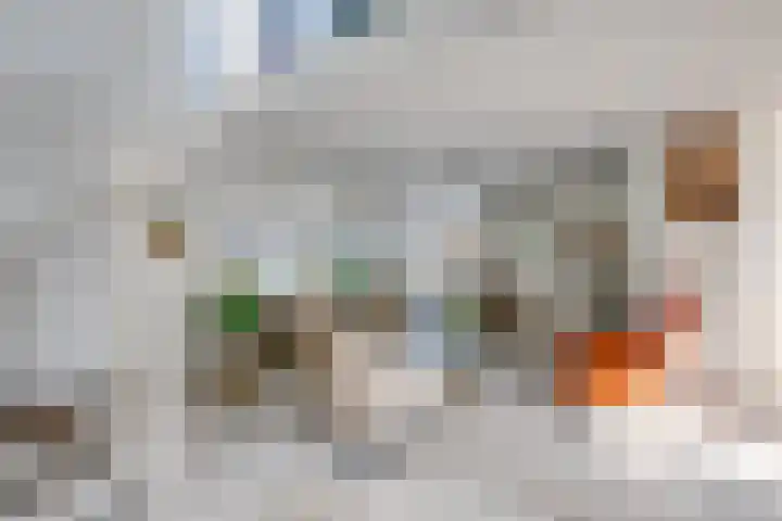 Zwijnsbergen 1 Udenhout thumbnail 13