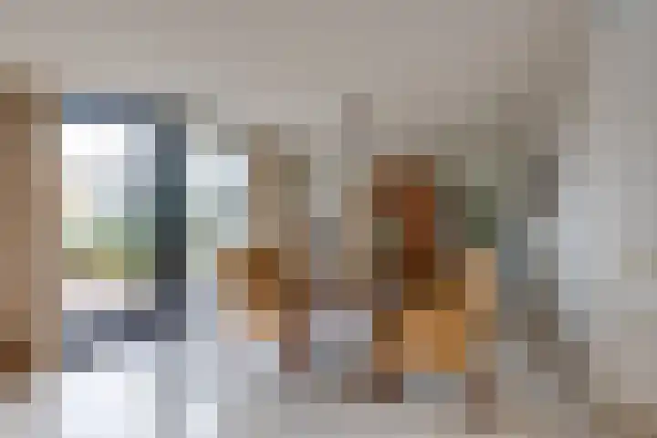 Zwijnsbergen 1 Udenhout thumbnail 15