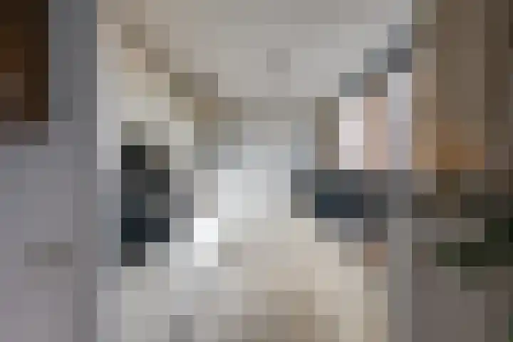 Zwijnsbergen 1 Udenhout thumbnail 16