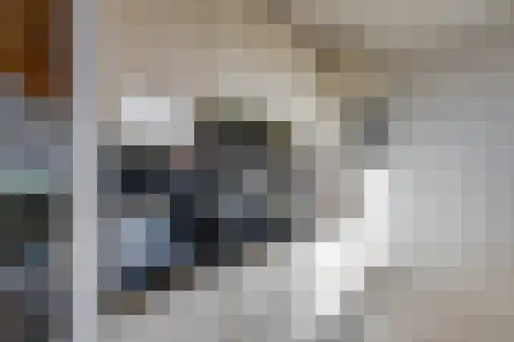 Zwijnsbergen 1 Udenhout thumbnail 17