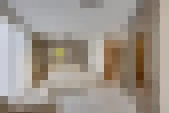 Zwijnsbergen 1 Udenhout thumbnail 23