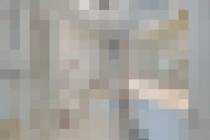 Zwijnsbergen 1 Udenhout thumbnail 26
