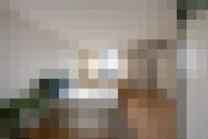 Zwijnsbergen 1 Udenhout thumbnail 31