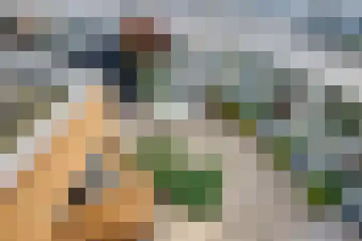 Zwijnsbergen 1 Udenhout thumbnail 33