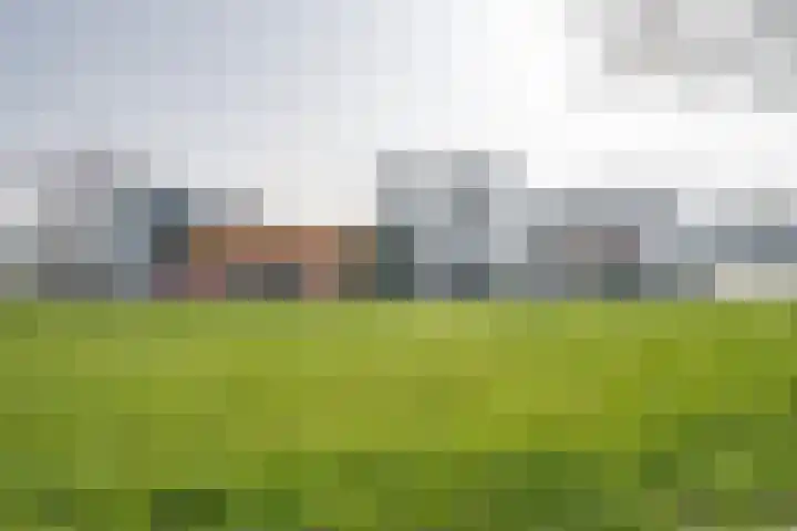 Zwijnsbergen 1 Udenhout thumbnail 4