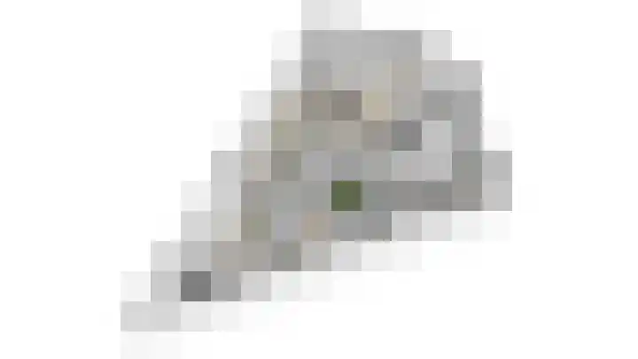 Zwijnsbergen 1 Udenhout thumbnail 40