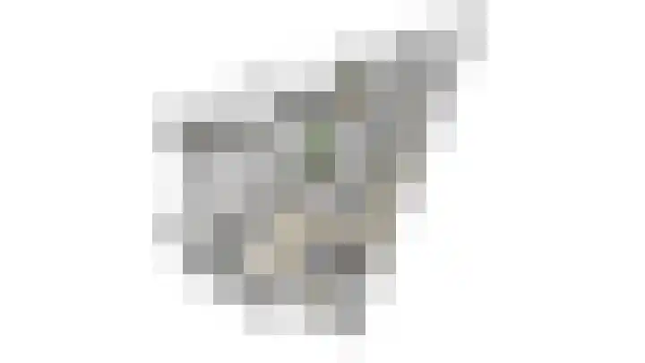 Zwijnsbergen 1 Udenhout thumbnail 41