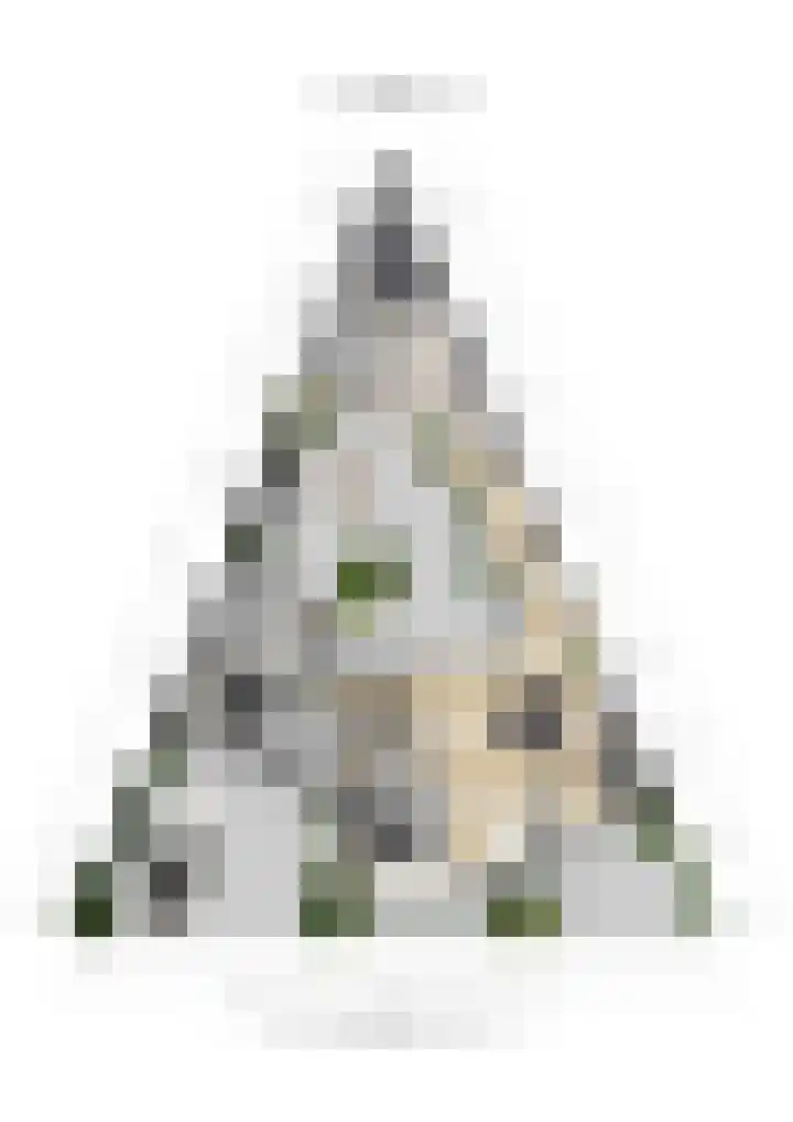 Zwijnsbergen 1 Udenhout thumbnail 42