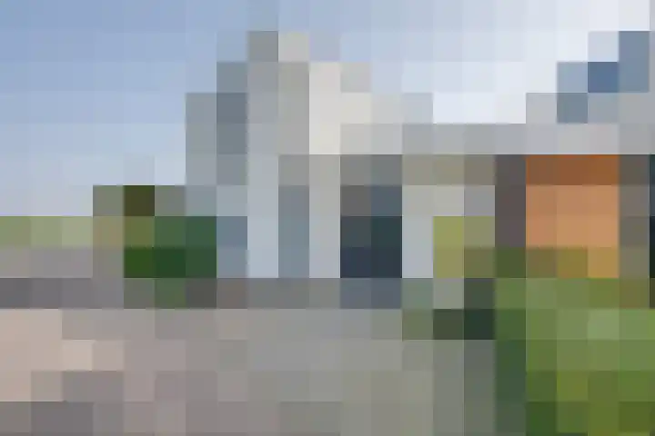 Zwijnsbergen 1 Udenhout thumbnail 5