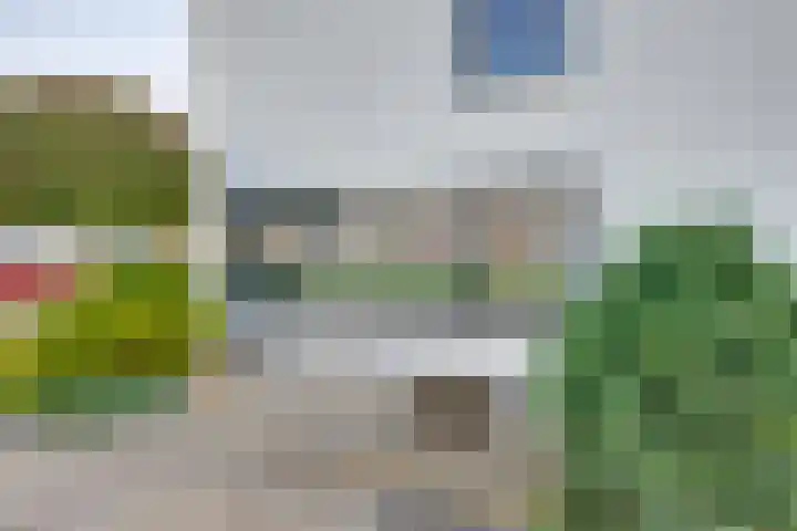 Zwijnsbergen 1 Udenhout thumbnail 6