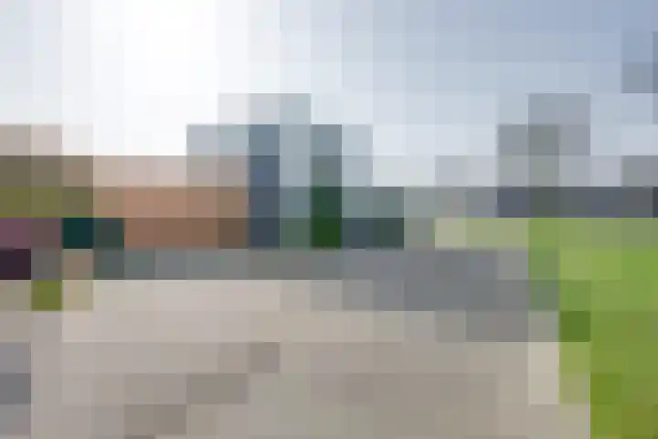 Zwijnsbergen 1 Udenhout thumbnail 8