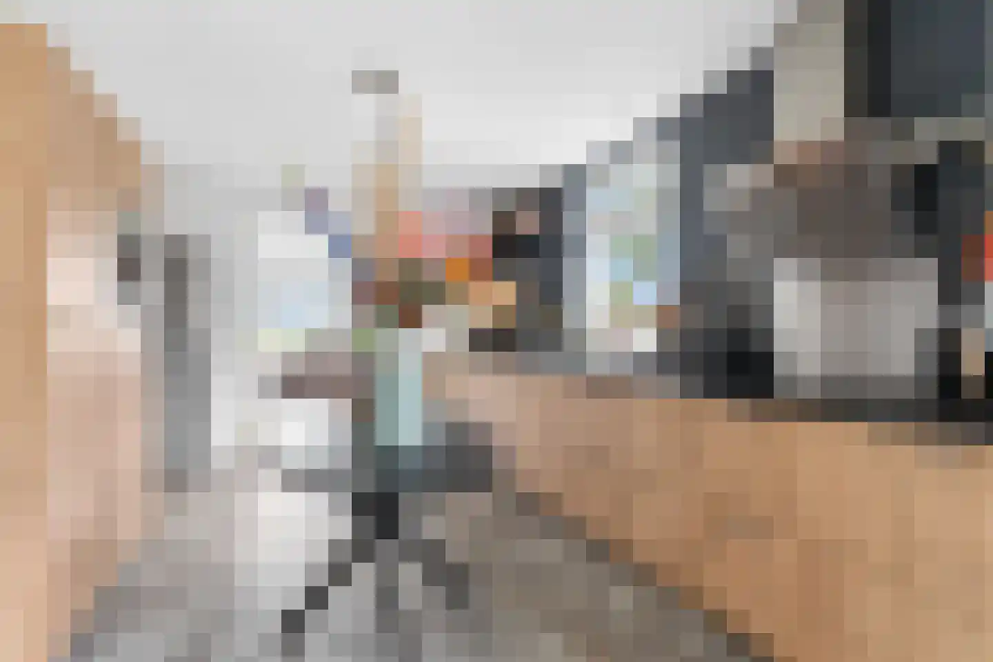 Zwijnsbergen 17 A Elst Ut thumbnail 12