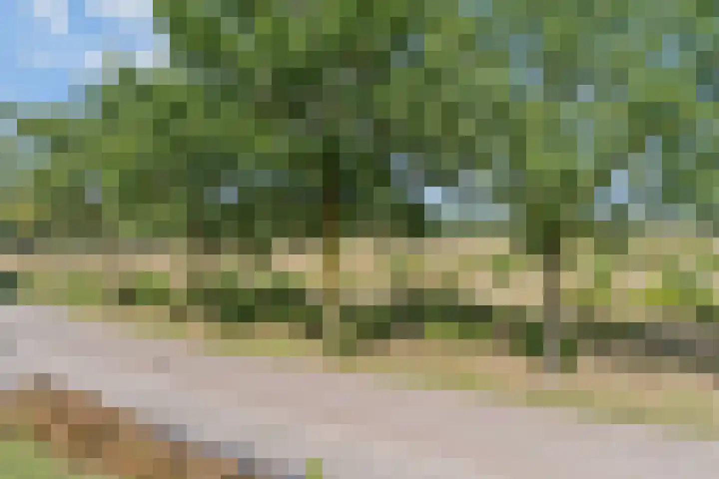 Zwijnsbergen 17 A Elst Ut thumbnail 21