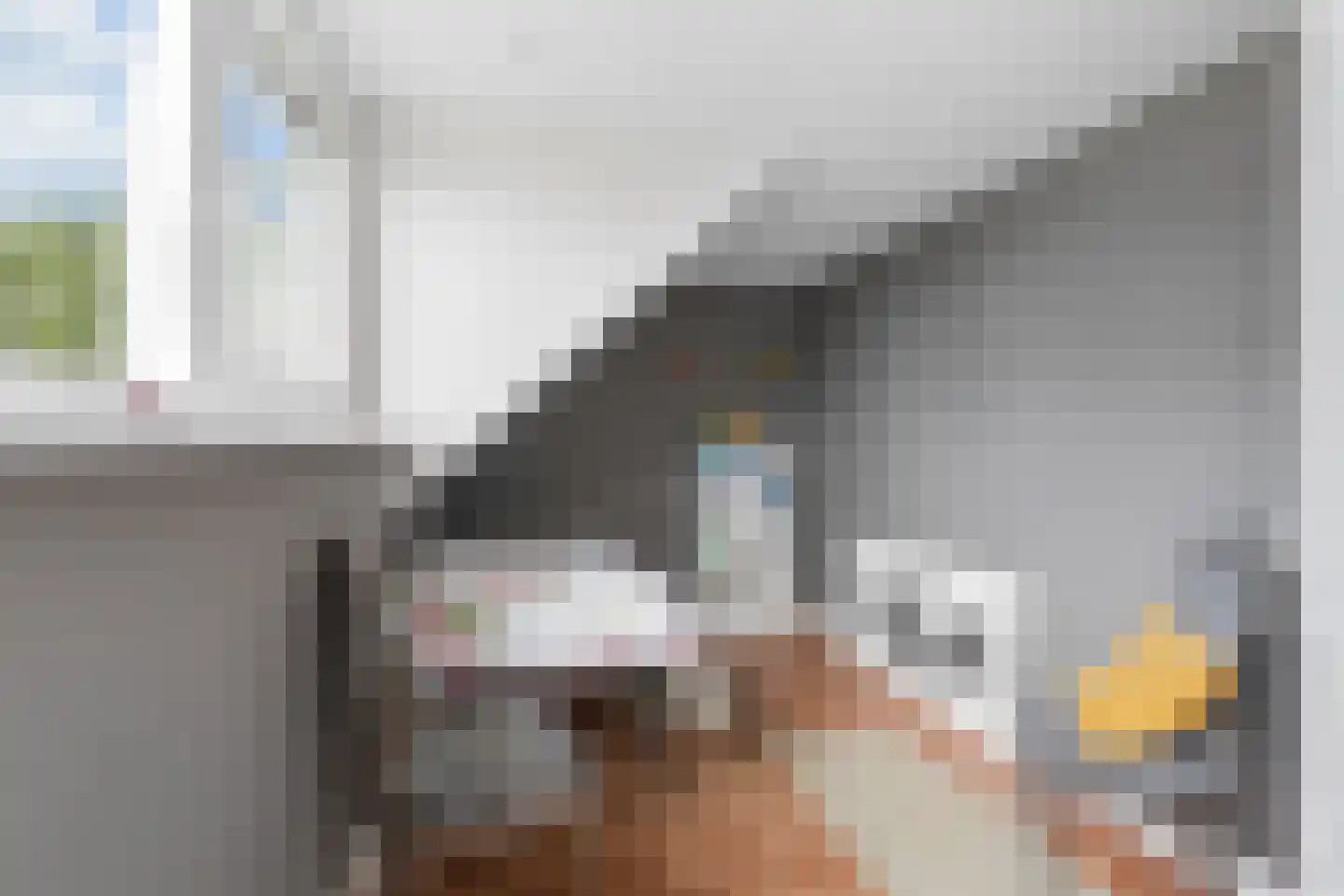 Zwijnsbergen 17 A Elst Ut thumbnail 24