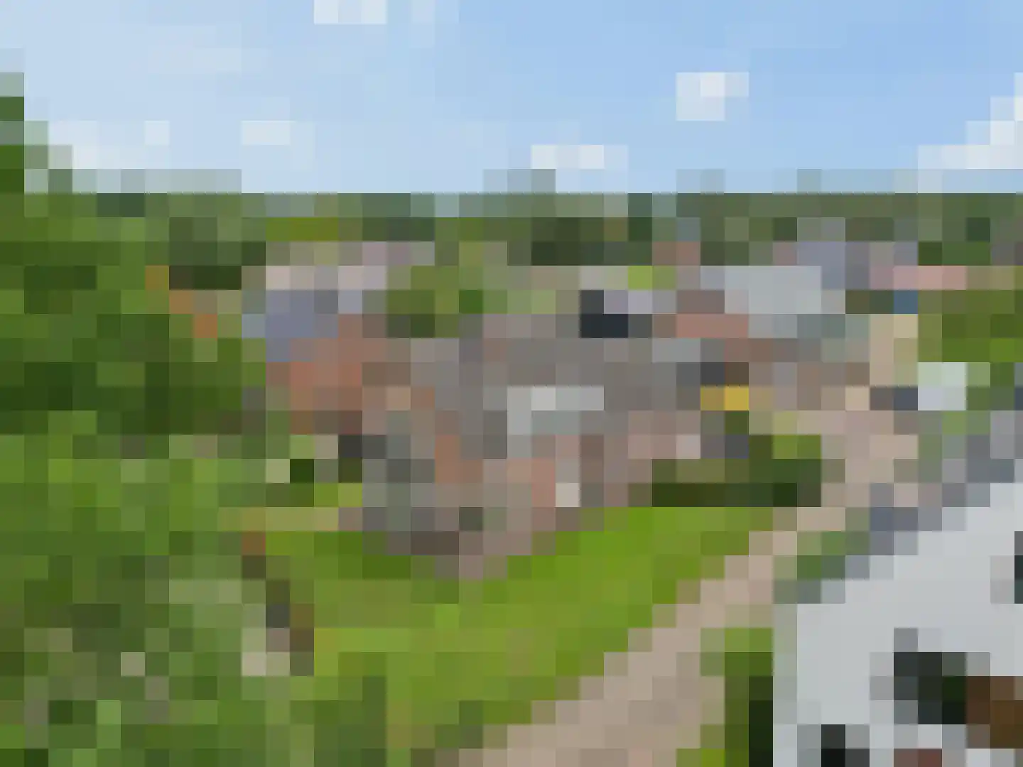 Zwijnsbergen 17 A Elst Ut thumbnail 36