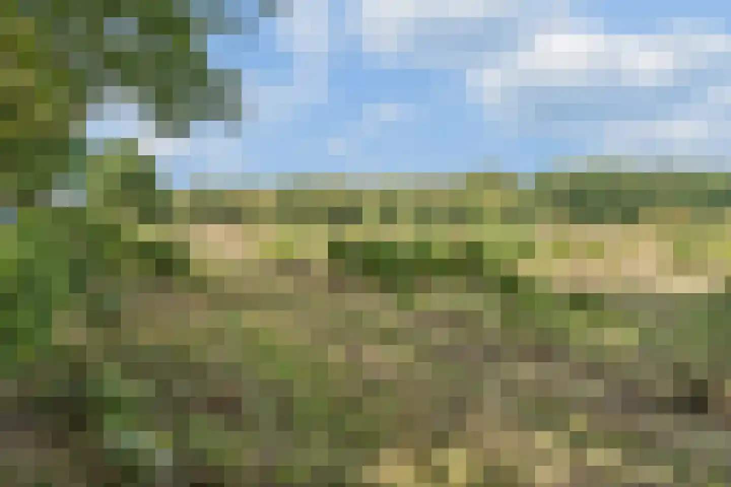 Zwijnsbergen 17 A Elst Ut thumbnail 39