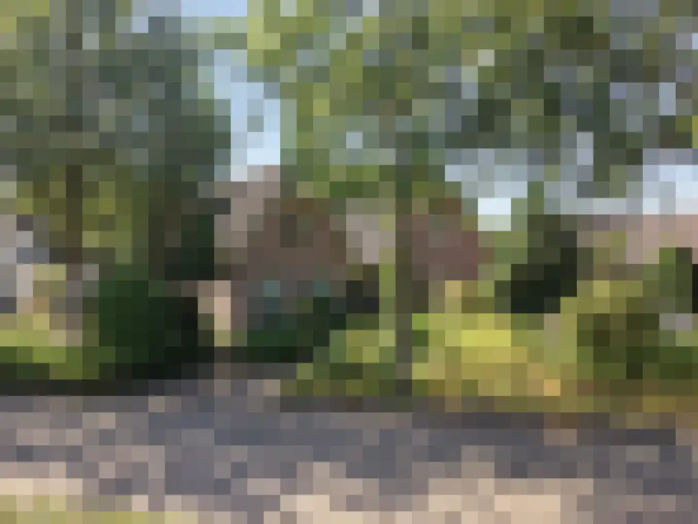 Zwijnsbergen 5 in Elst Ut