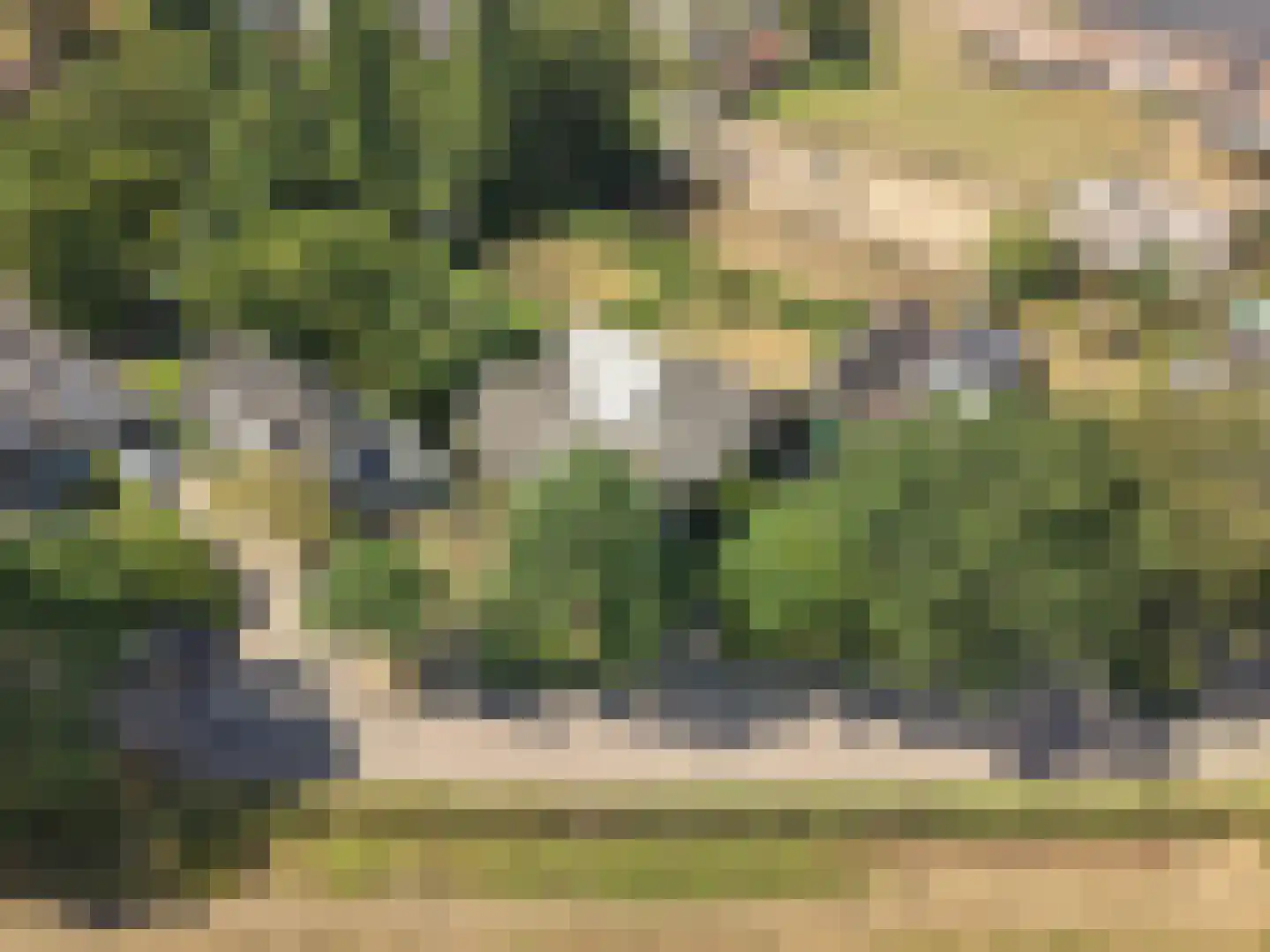 Zwijnsbergen 5 Elst Ut thumbnail 24