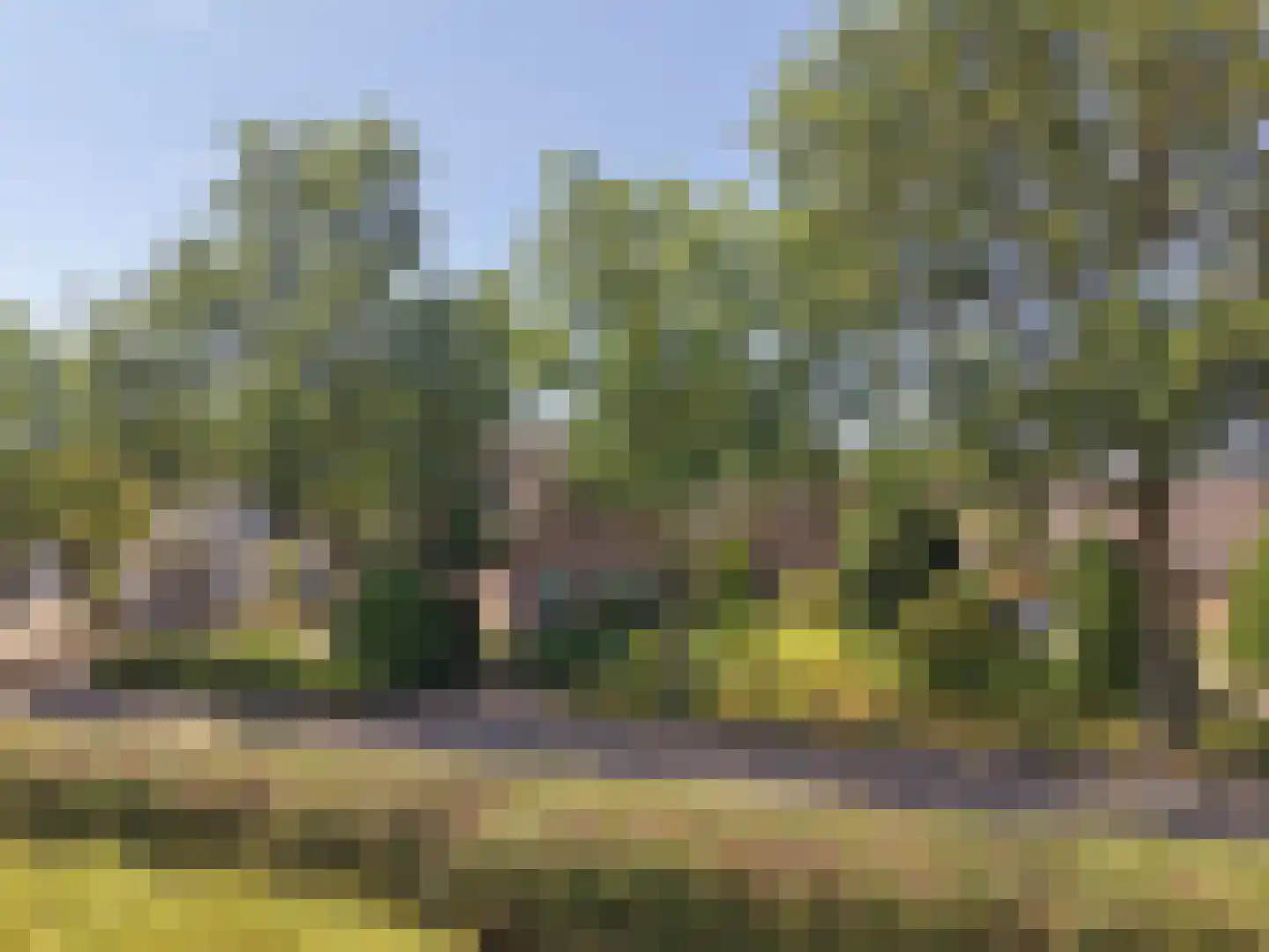 Zwijnsbergen 5 Elst Ut thumbnail 25