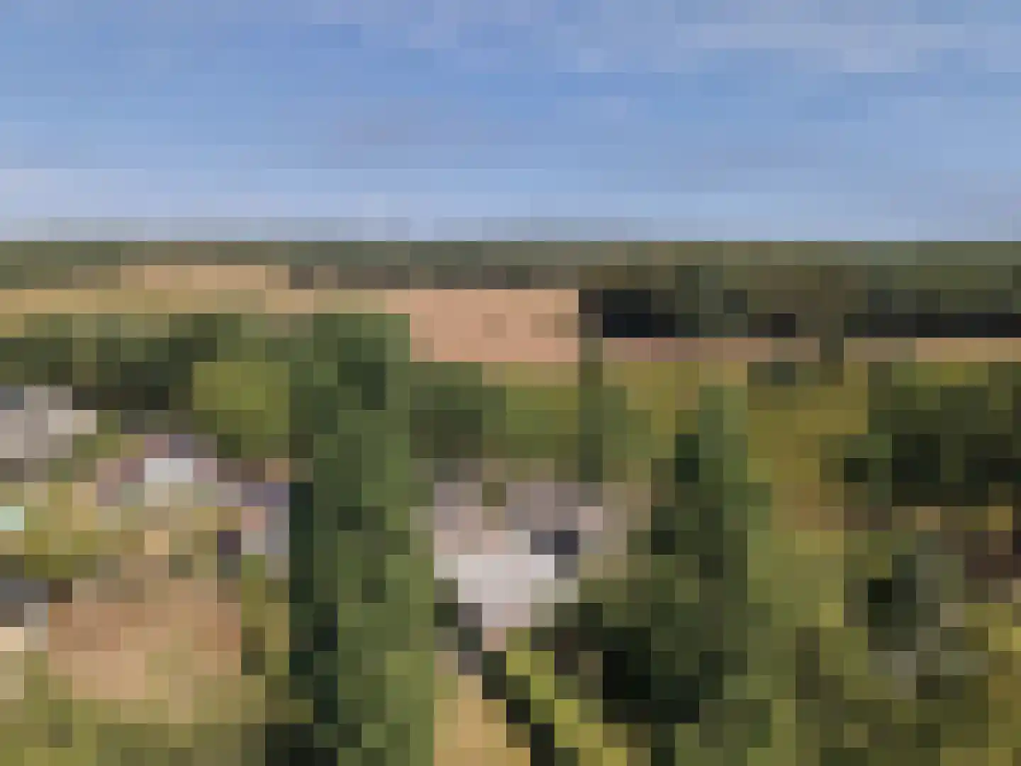 Zwijnsbergen 5 Elst Ut thumbnail 27