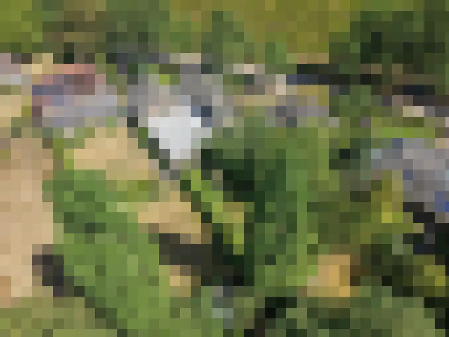 Zwijnsbergen 5 Elst Ut thumbnail 28