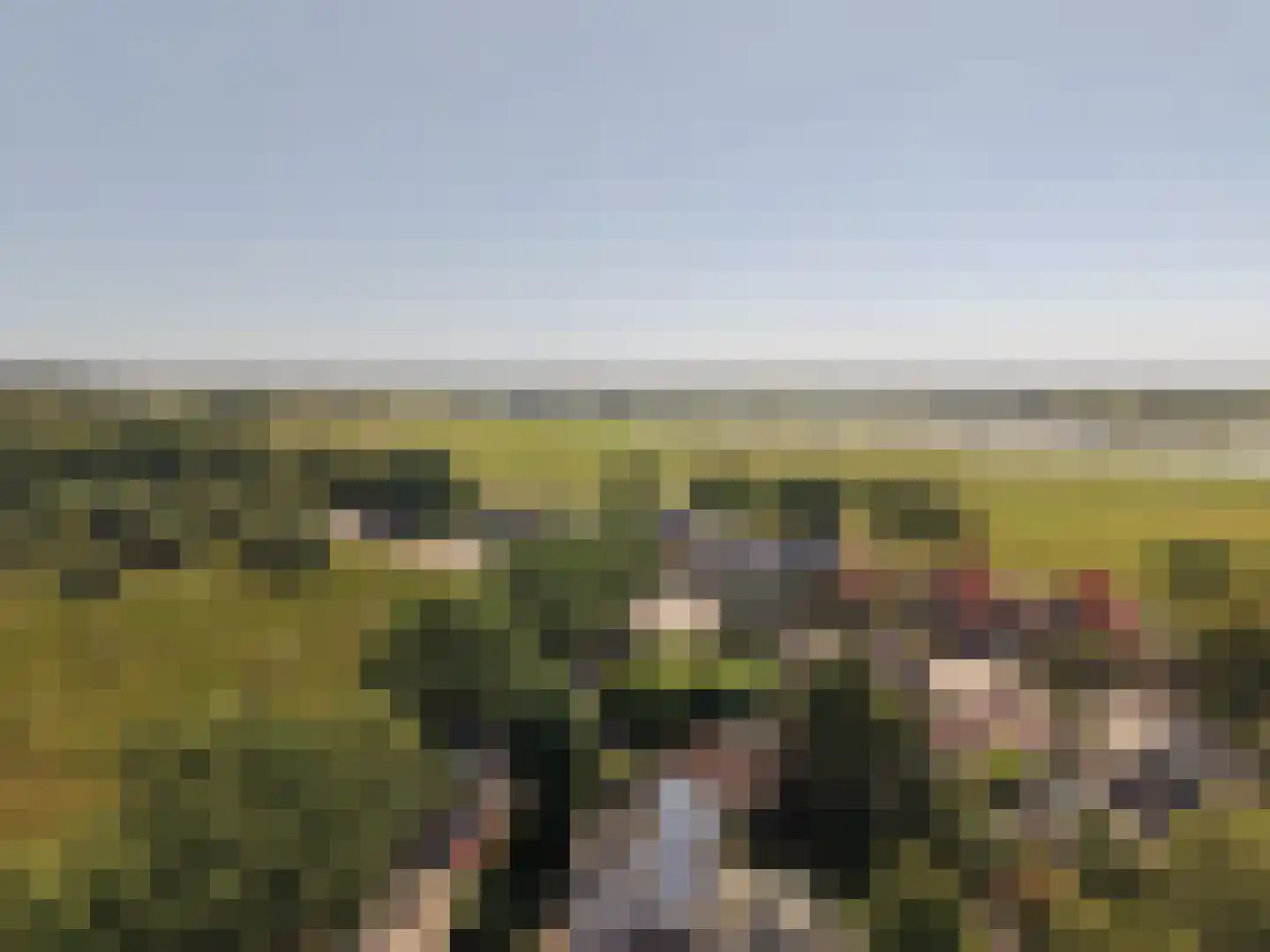 Zwijnsbergen 5 Elst Ut thumbnail 29