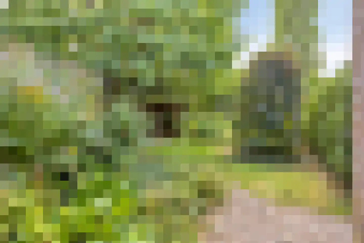 Zwijnsbergen 5 Elst Ut thumbnail 30