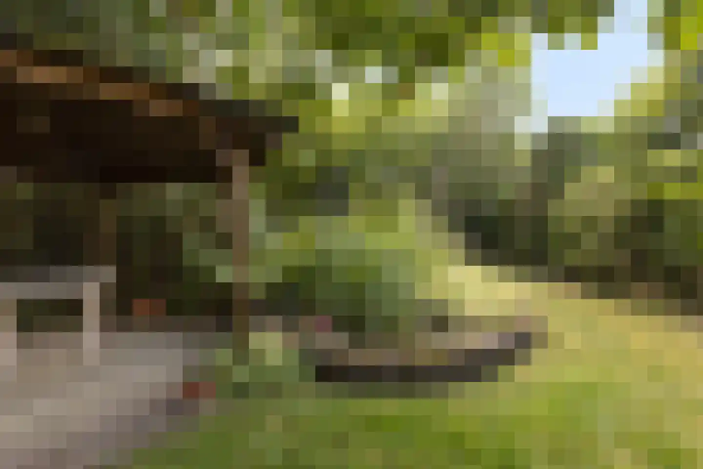 Zwijnsbergen 5 Elst Ut thumbnail 31
