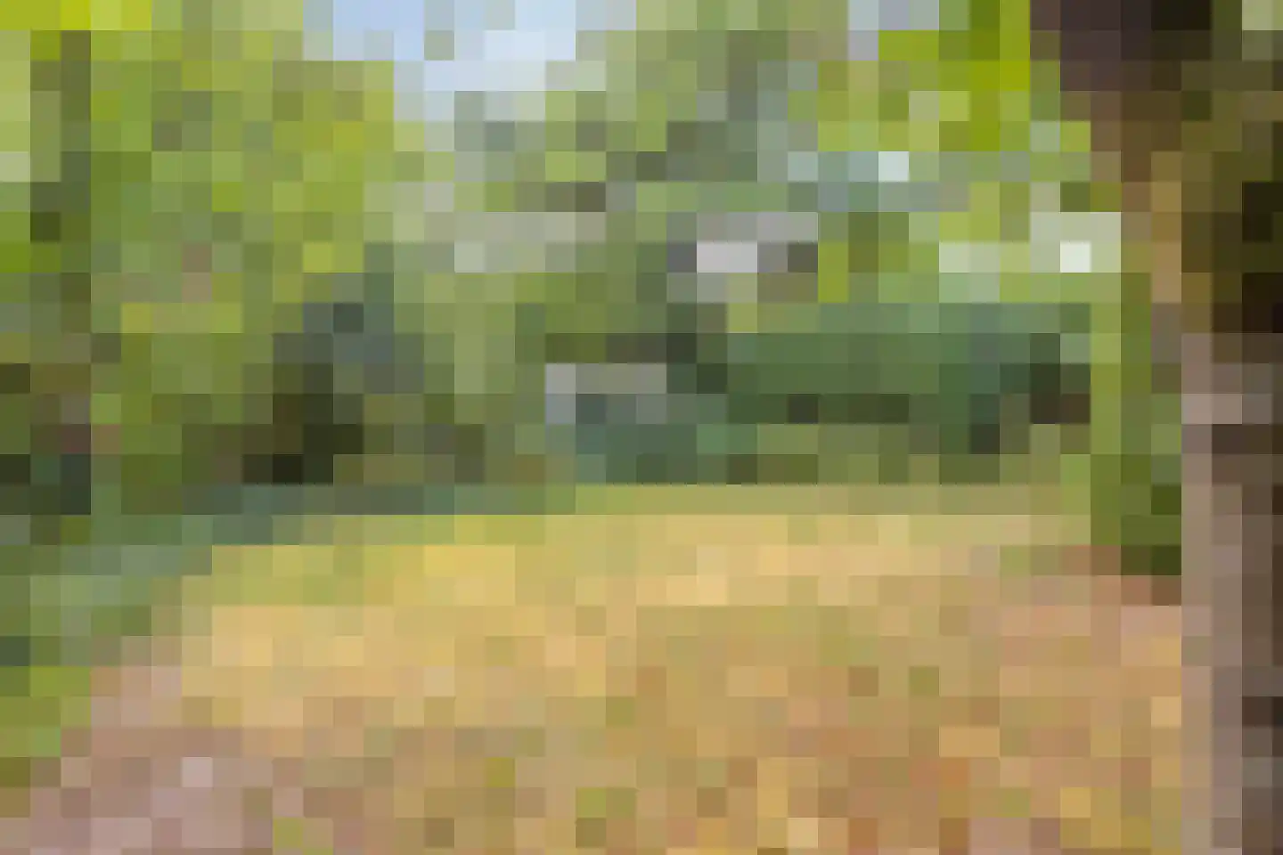 Zwijnsbergen 5 Elst Ut thumbnail 32