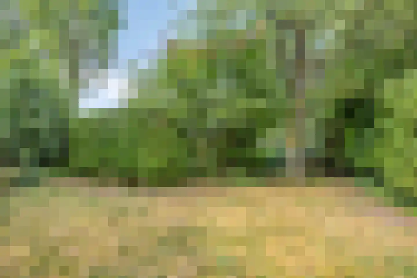 Zwijnsbergen 5 Elst Ut thumbnail 33