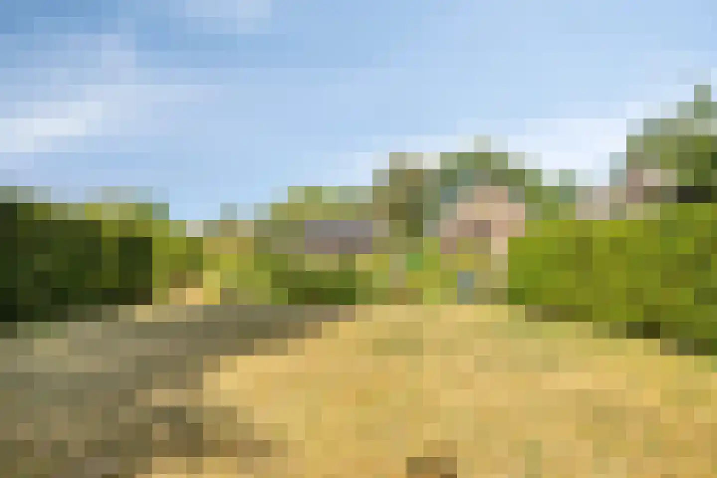 Zwijnsbergen 5 Elst Ut thumbnail 36