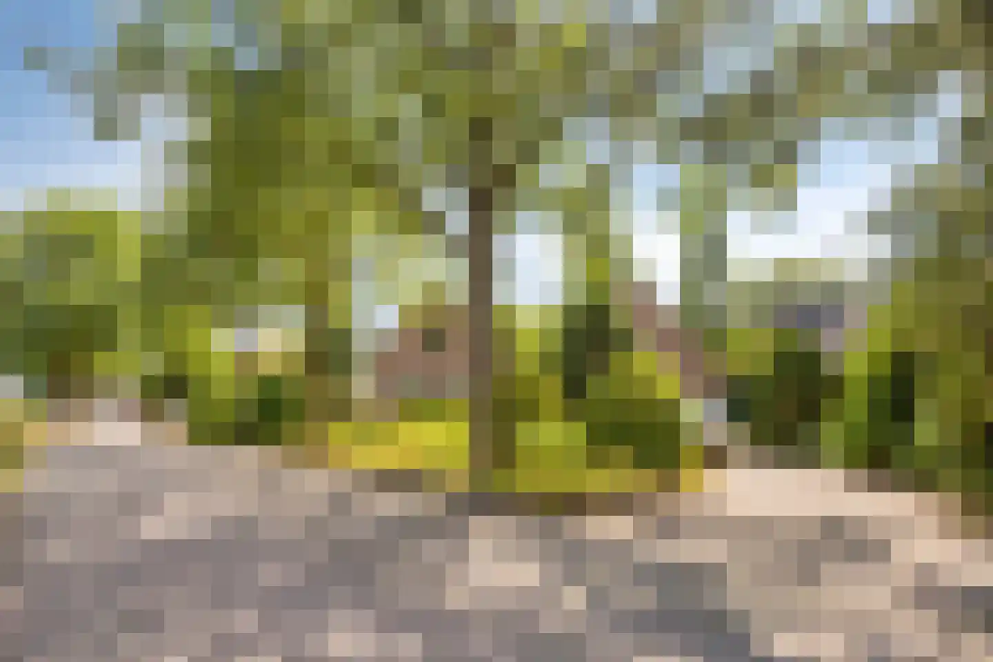 Zwijnsbergen 5 Elst Ut thumbnail 4
