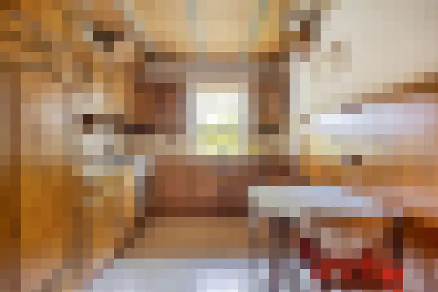 Zwijnsbergen 5 Elst Ut thumbnail 8