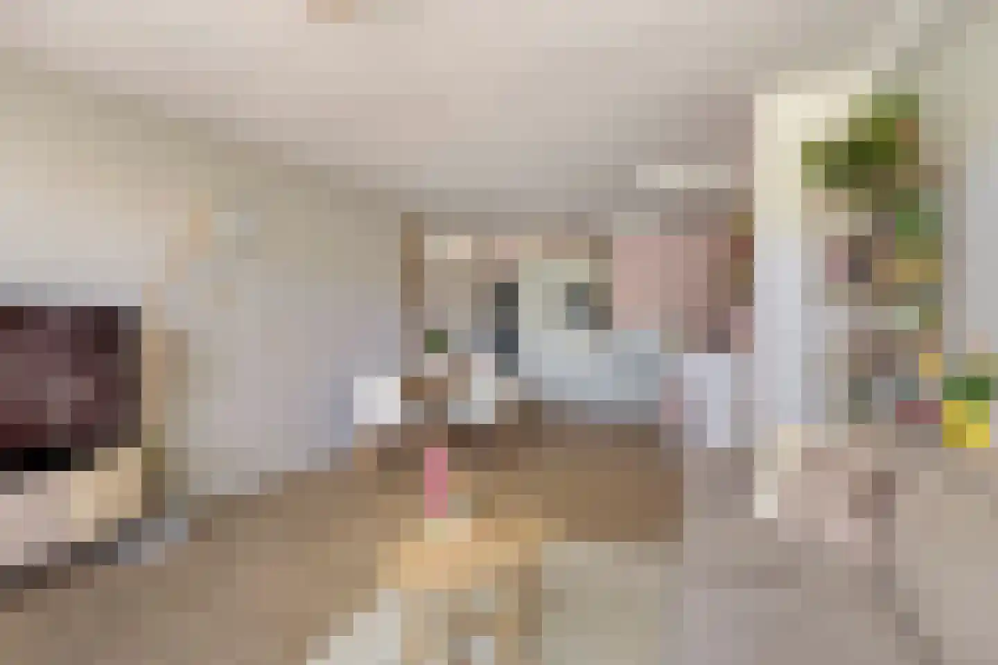 Zwijnsbergenstraat 157 Breda thumbnail 6